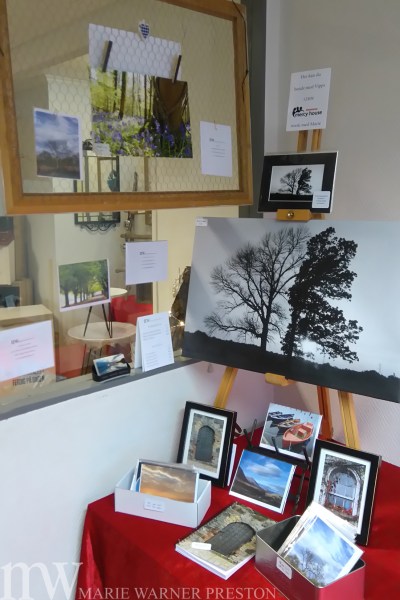 photography, local market