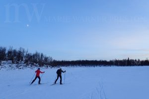 ski, moon, winter