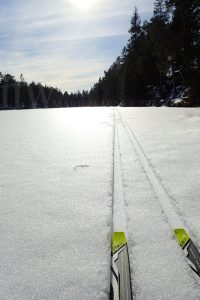 snow, sun, ski, winter