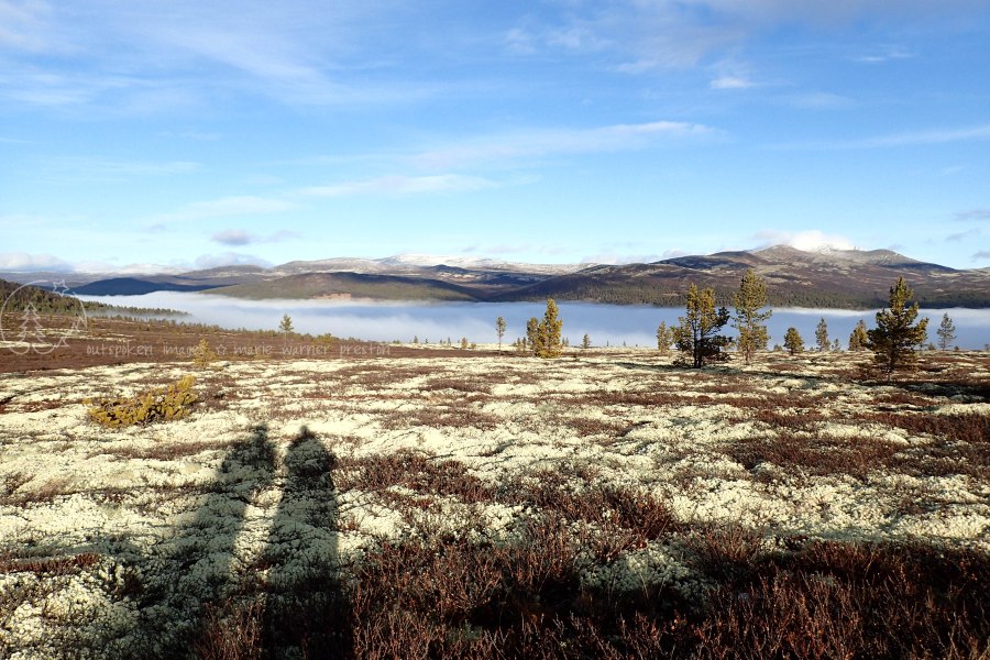 two person shadows on lichen. fog in valley, mountains in background. blue sky. ©2020 Outspoken Images by Marie Warner Preston