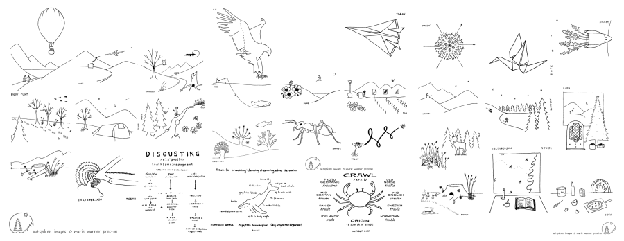Compilation of line drawings created with pen, based on Norwegian nature. ©2020 Outspoken Images by Marie Warner Preston