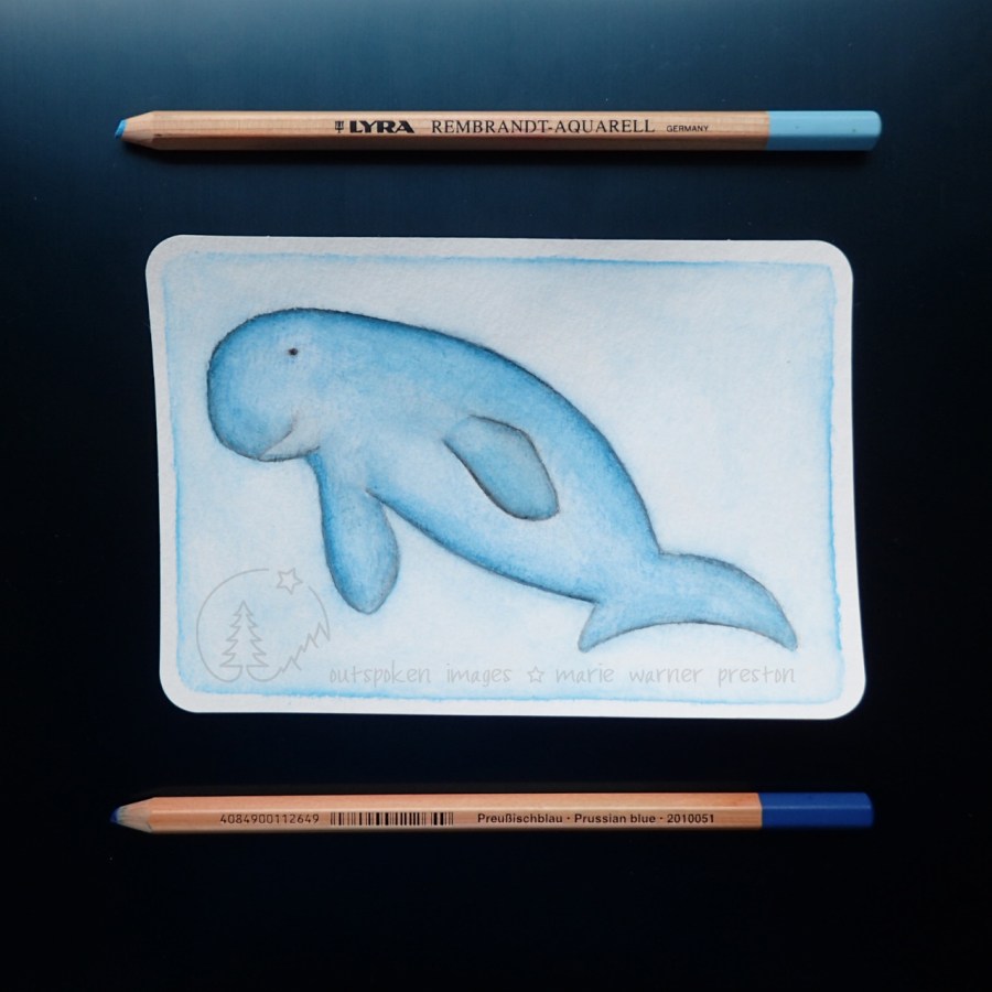 blue Dugong painting with blue pencils on blue background. ©2021 Outspoken Images by Marie Warner Preston