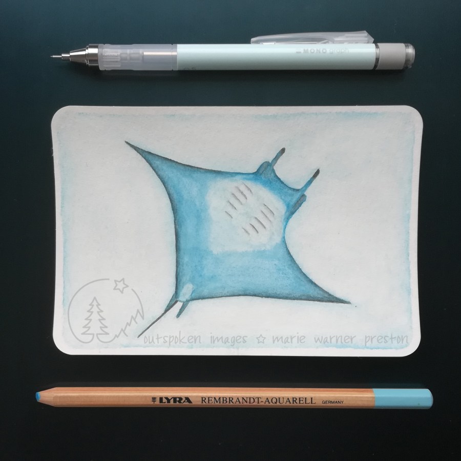 blue giant manta ray watercolour painting with blue pencils on blue backgroun. ©2021 Outspoken Images by Marie Warner Preston