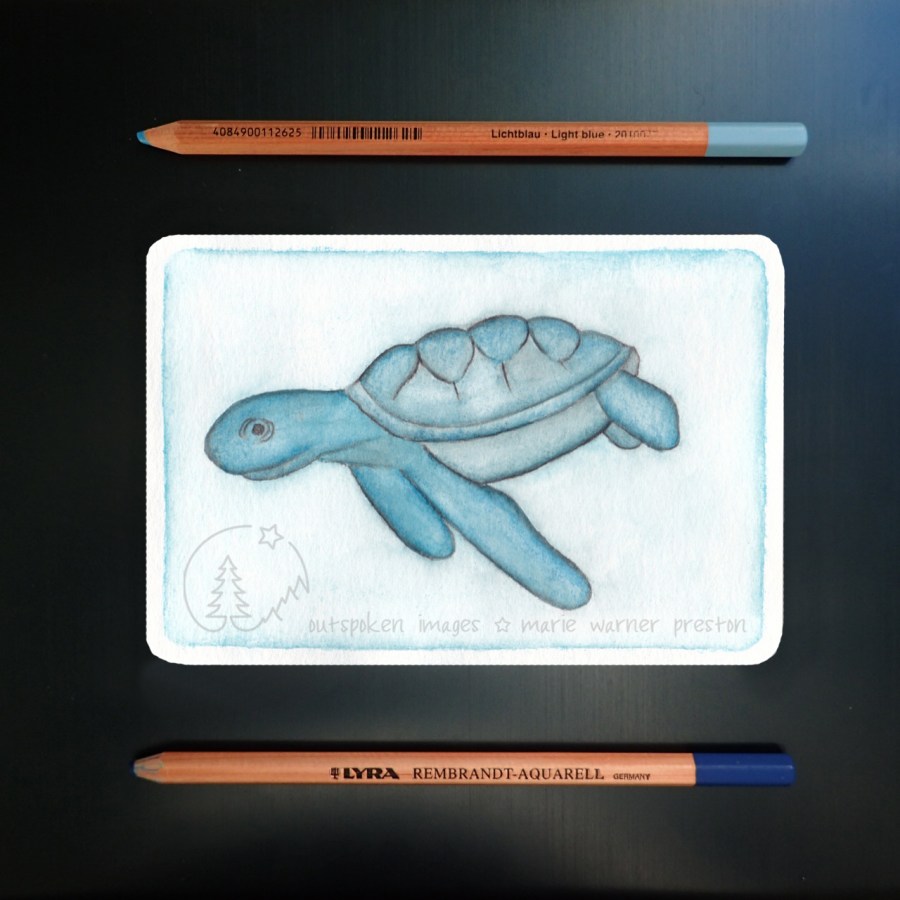 Blue watercolour painting of Hawksbill sea turtle on blue background with two blue watercolour pencils. ©2021 Outspoken Images by Marie Warner Preston