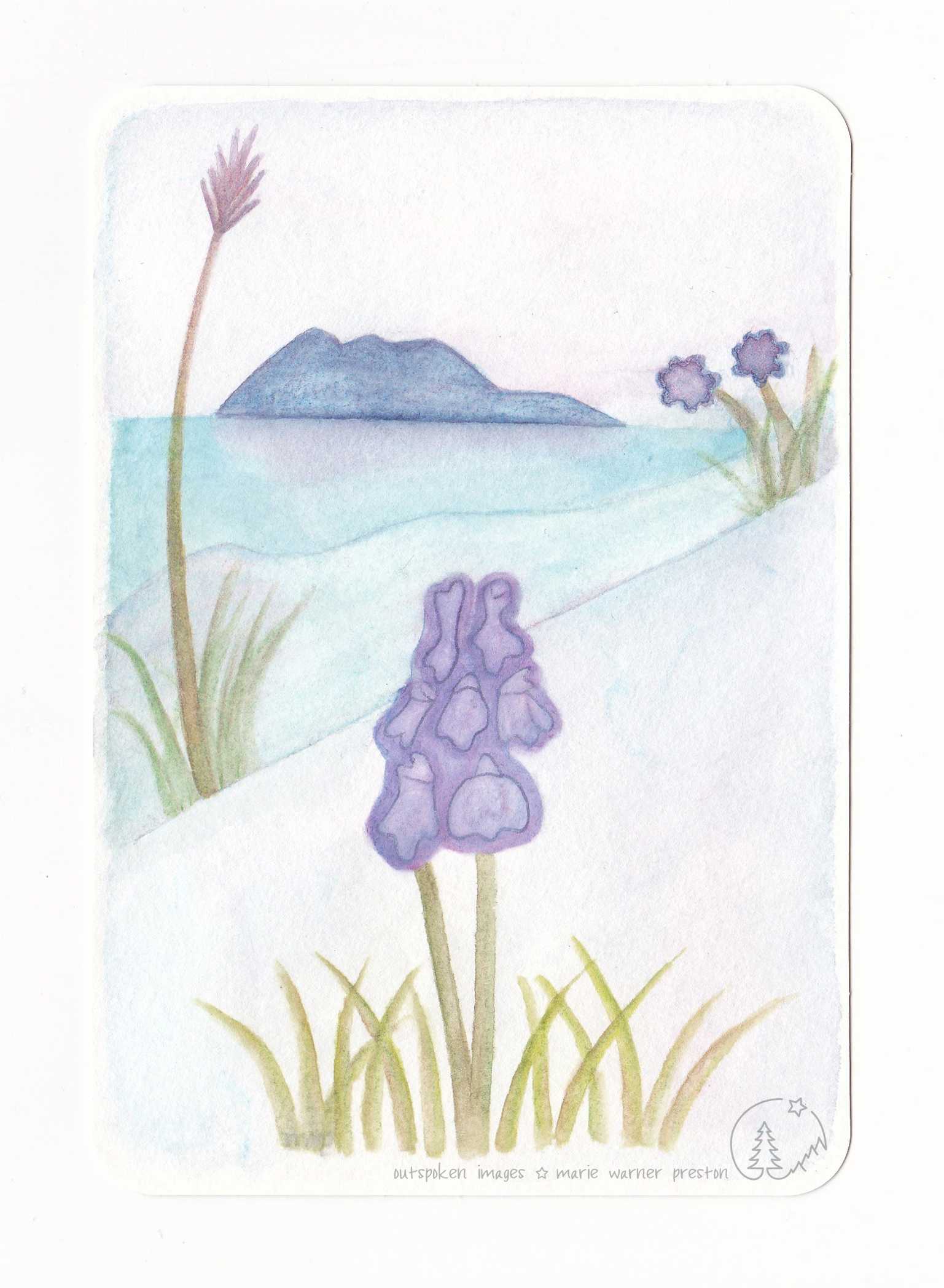 Purple flowers and grass seeds with green stems. Purple mountain reflected water. Purple Prospect ©2021 Outspoken Images by Marie Warner Preston