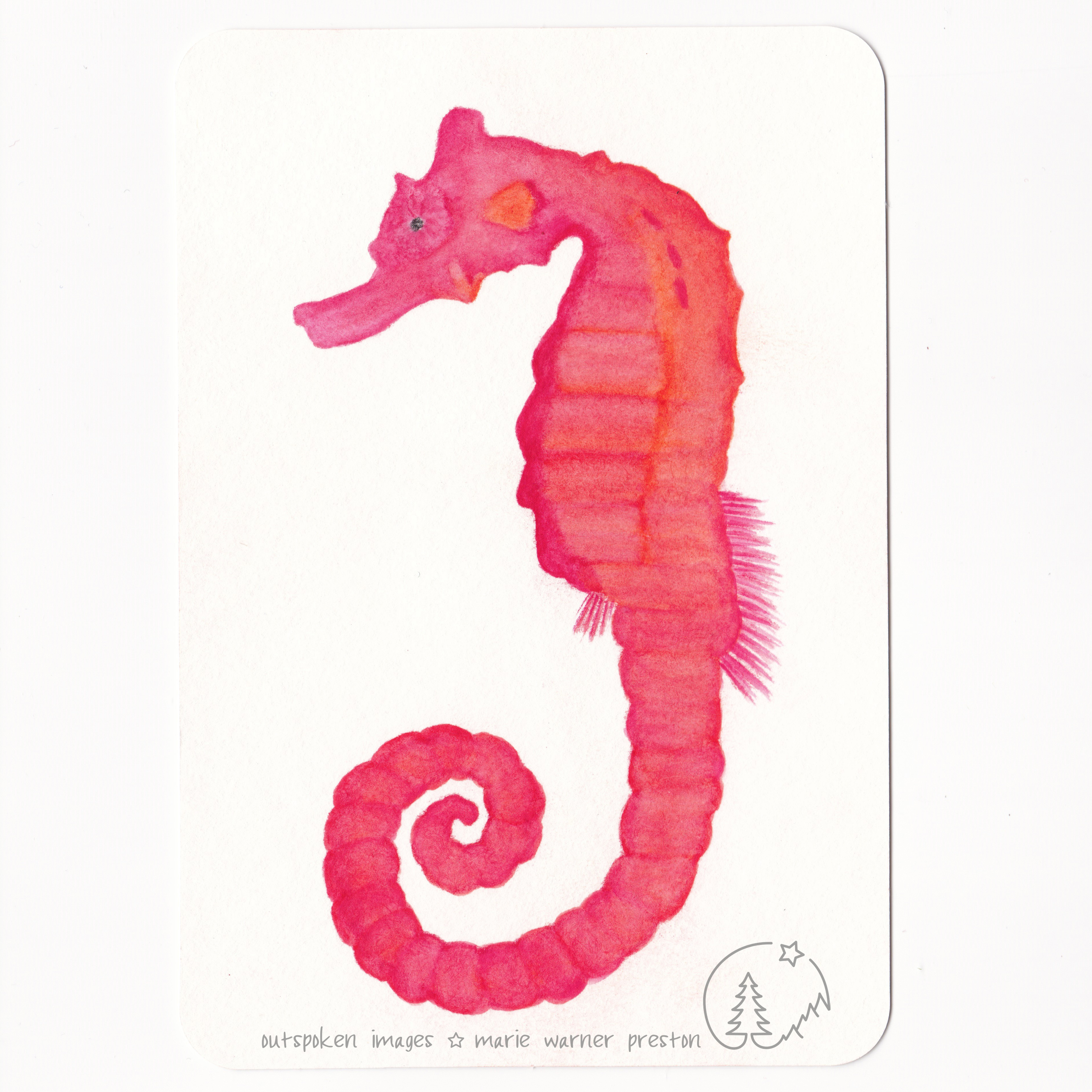 Pacific Seahorse (Hippocampus ingens) red watercolour painting ©2021 Outspoken Images by Marie Warner Preston