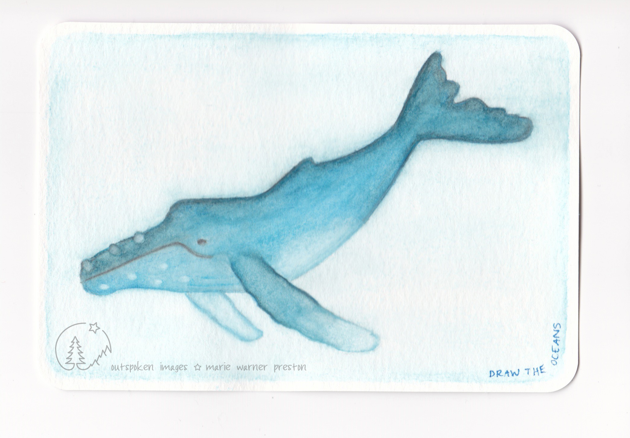 Watercolour painting: blue Humpback whale on blue background with Draw The Oceans text. ©2021 Outspoken Images by Marie Warner Preston