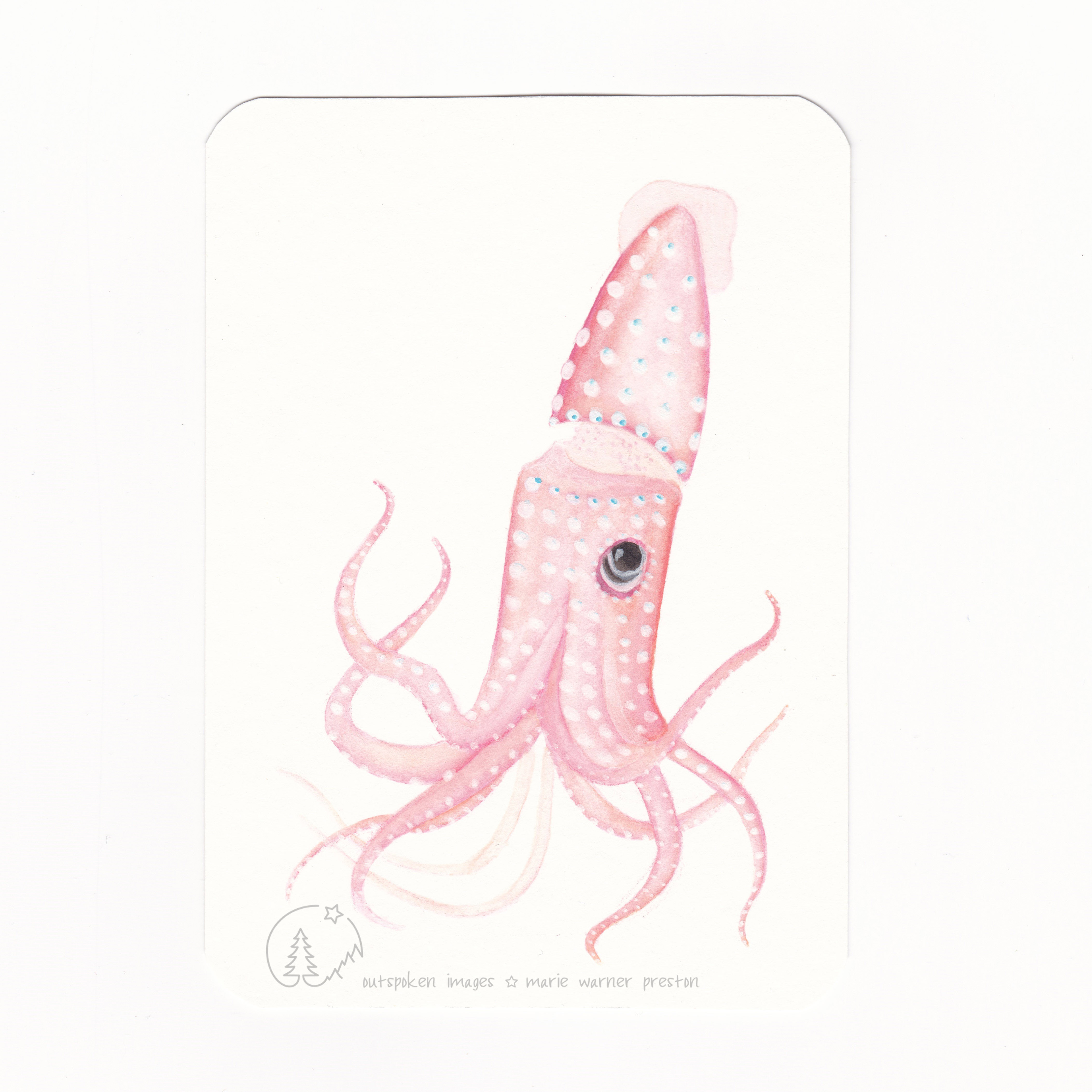 Strawberry Squid (Histioteuthis heteropsis) watercolour painting ©2021 Outspoken Images by Marie Warner Preston