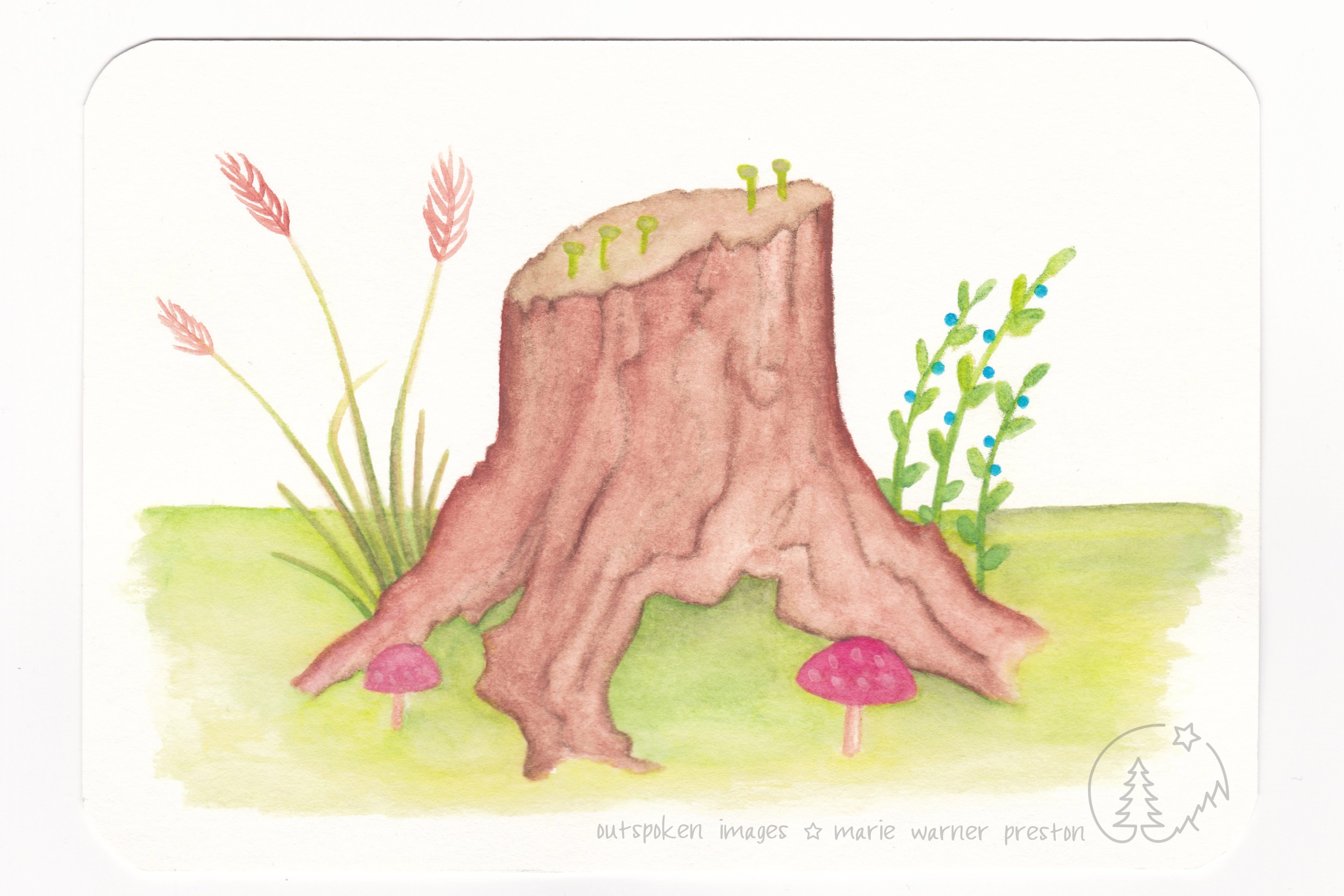 Deep Reddish Brown tree stump with red mushrooms and grasses, green blueberry plants. ©2021 Outspoken Images by Marie Warner Preston