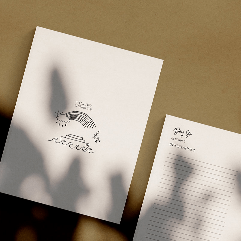 Book interior: Journalling Through Genesis with The Devoted Collective. Ink drawing of sun, cloud, rain, dove with branch, boat on water by Marie Warner Preston