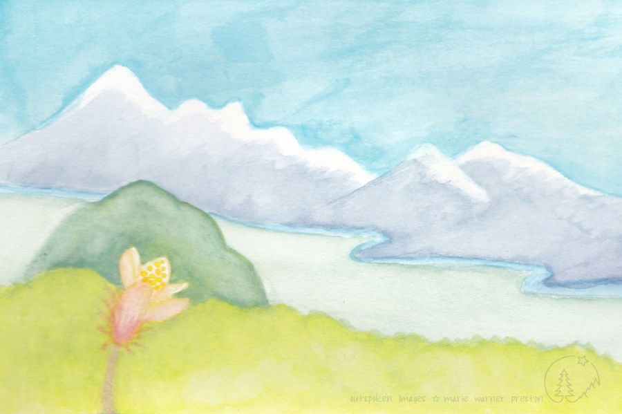 Pink, white, and yellow flower (pulsatilla vernalis) against light green lichen, dark green rock, winding blue river, snow-capped mountains, blue sky. ©2022 Outspoken Images by Marie Warner Preston