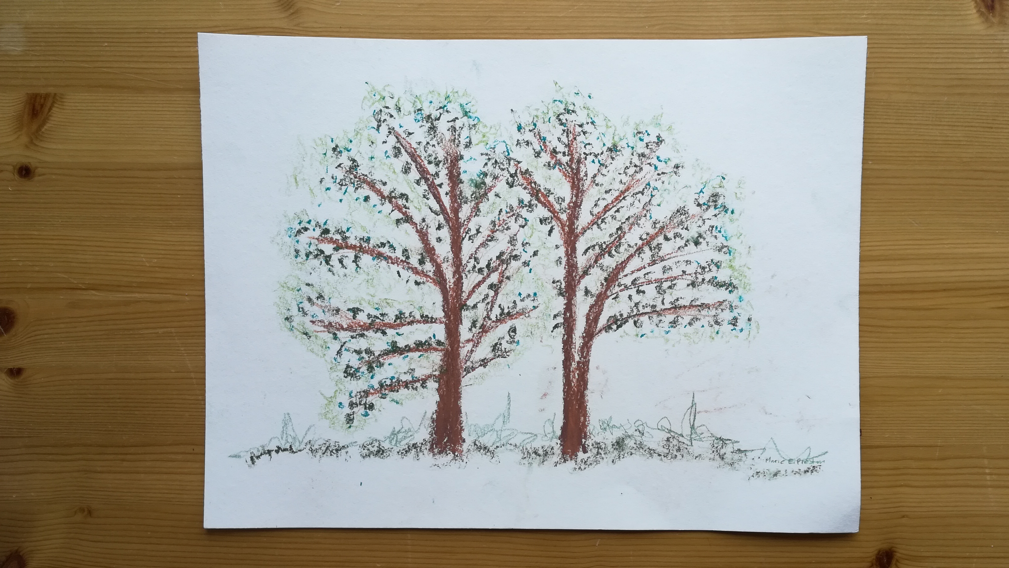 Together: Two Trees. Pastel & pencil drawing ©2022 Marie Preston