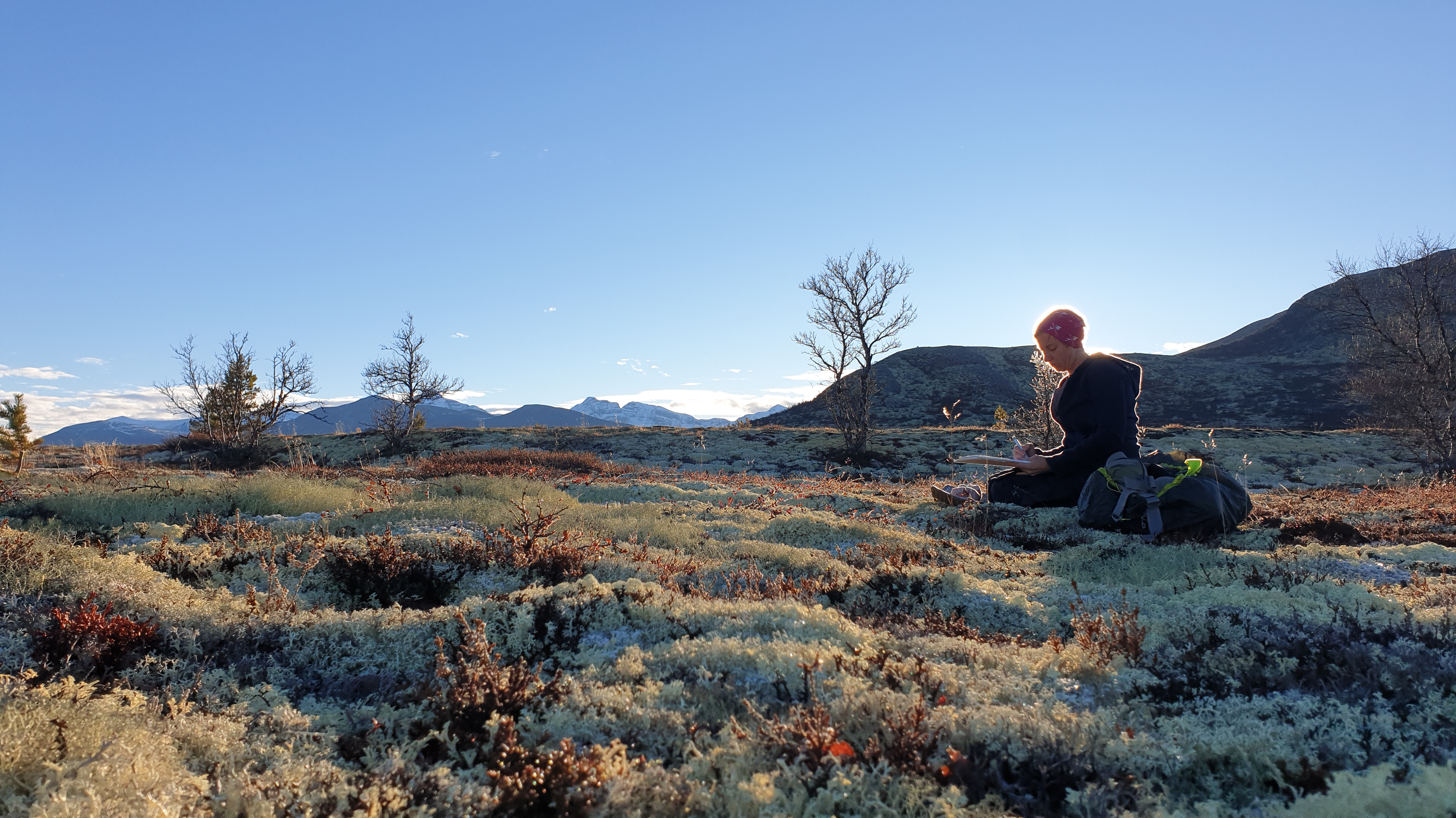 Person sitting on lichen-covered ground, against the sun, drawing. Mountains in the background